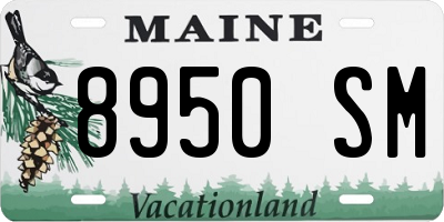 ME license plate 8950SM