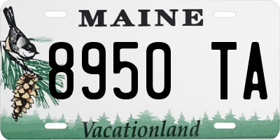 ME license plate 8950TA