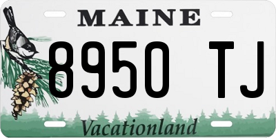 ME license plate 8950TJ