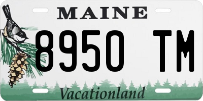 ME license plate 8950TM