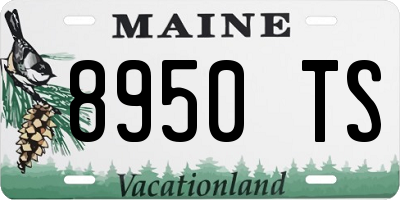 ME license plate 8950TS