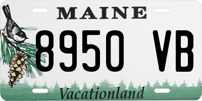 ME license plate 8950VB