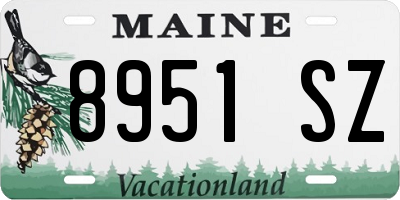 ME license plate 8951SZ