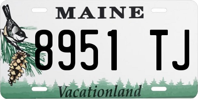 ME license plate 8951TJ