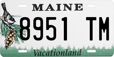 ME license plate 8951TM