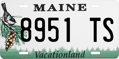 ME license plate 8951TS