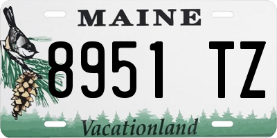 ME license plate 8951TZ