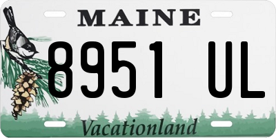 ME license plate 8951UL