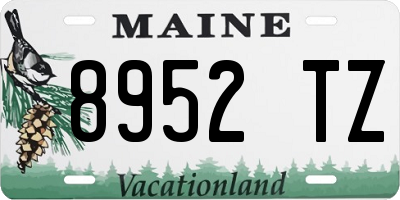 ME license plate 8952TZ