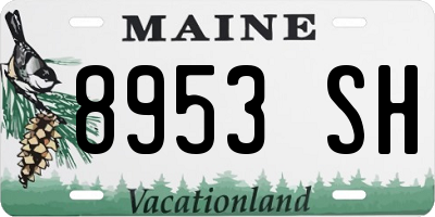 ME license plate 8953SH