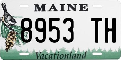 ME license plate 8953TH