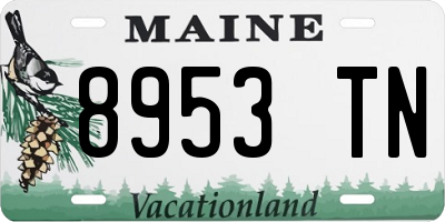 ME license plate 8953TN
