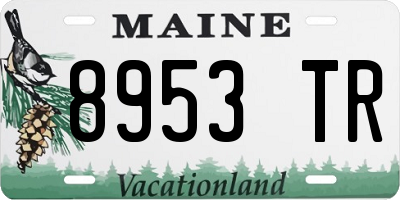 ME license plate 8953TR