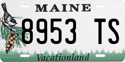ME license plate 8953TS