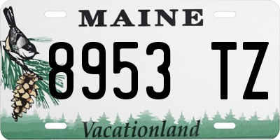 ME license plate 8953TZ