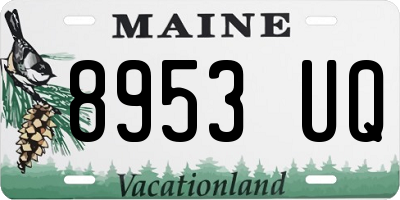 ME license plate 8953UQ