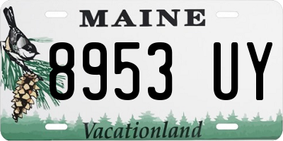 ME license plate 8953UY