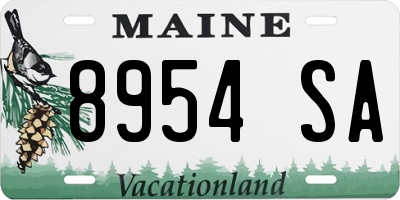 ME license plate 8954SA