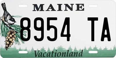 ME license plate 8954TA