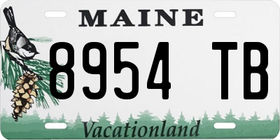 ME license plate 8954TB