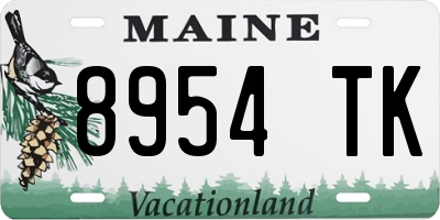 ME license plate 8954TK
