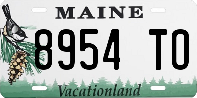 ME license plate 8954TO