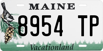 ME license plate 8954TP