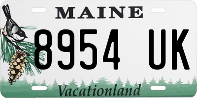 ME license plate 8954UK
