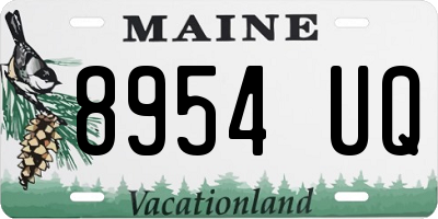 ME license plate 8954UQ