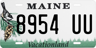 ME license plate 8954UU