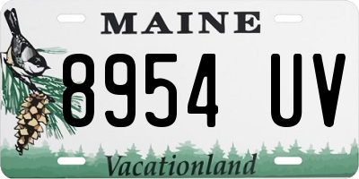 ME license plate 8954UV