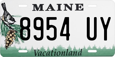 ME license plate 8954UY