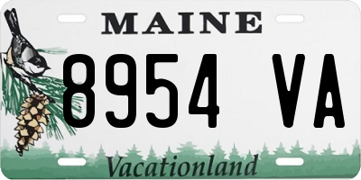 ME license plate 8954VA