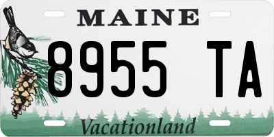 ME license plate 8955TA