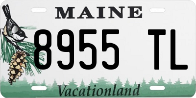 ME license plate 8955TL
