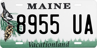 ME license plate 8955UA