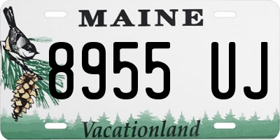 ME license plate 8955UJ
