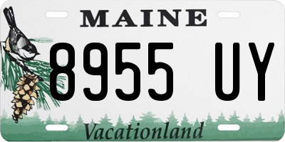 ME license plate 8955UY