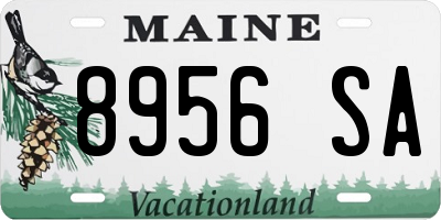 ME license plate 8956SA