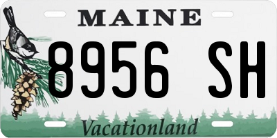 ME license plate 8956SH