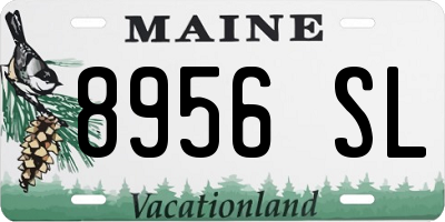 ME license plate 8956SL