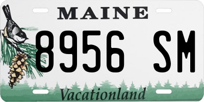 ME license plate 8956SM