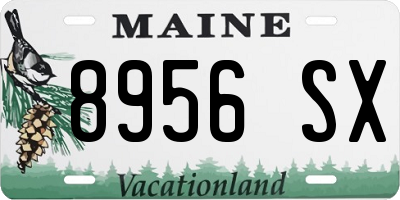 ME license plate 8956SX