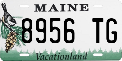 ME license plate 8956TG