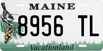 ME license plate 8956TL
