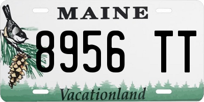 ME license plate 8956TT