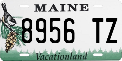 ME license plate 8956TZ