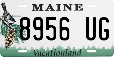 ME license plate 8956UG