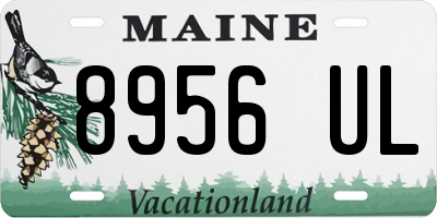 ME license plate 8956UL