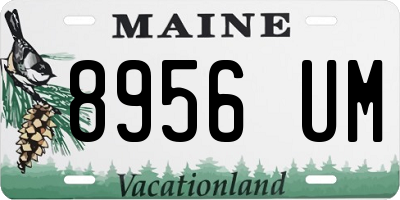 ME license plate 8956UM